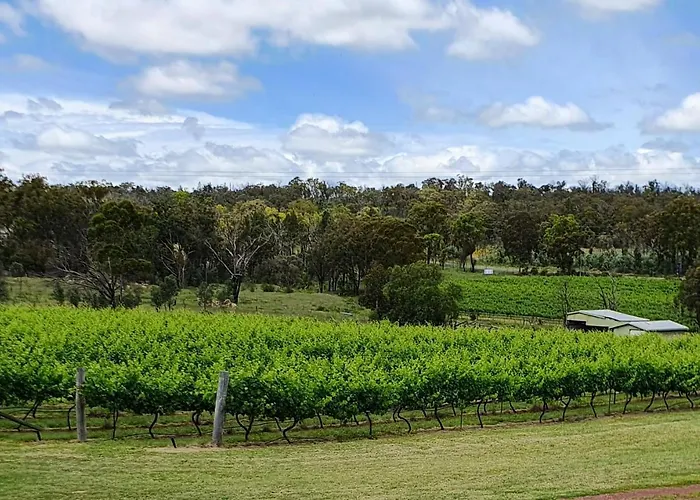 Just Red Wines Cabins